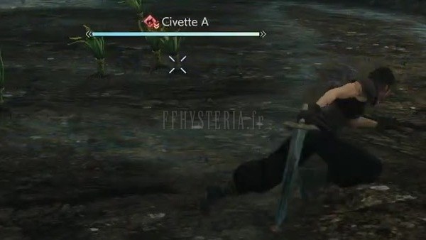 Civette
