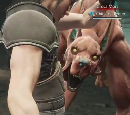 Chien de l'enfer