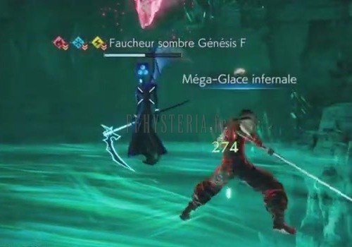 Faucheur sombre Gén.