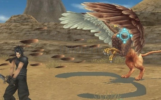 Griffon