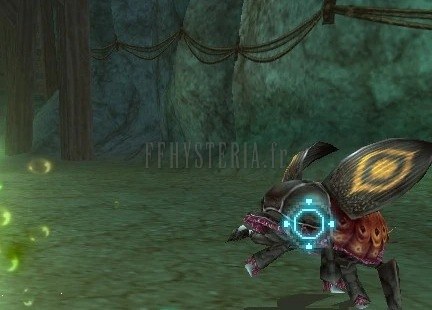 Insecte bizarre