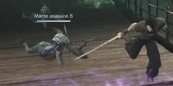 Mante assassine