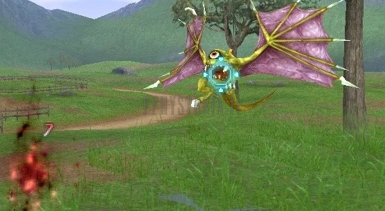Œil volant