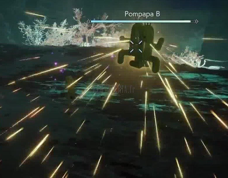 Pompapa (Kactuare)