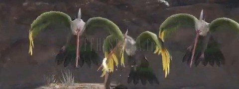Simurgh