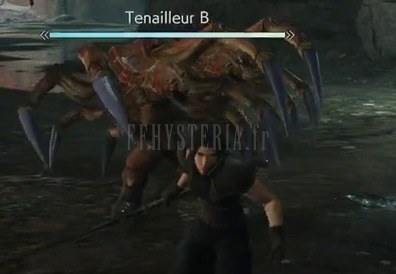Tenailleur