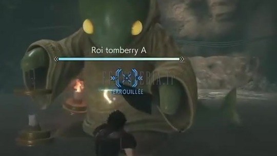 Roi tomberry