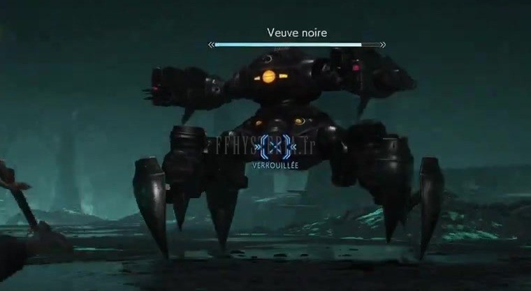 Veuve noire