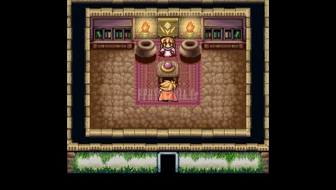 La boutique de magie blanche de Lac du Croissant, la mieux fournie du jeu