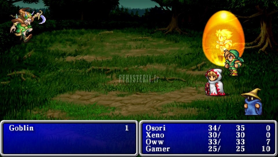 FF I — Ffi PSP protect