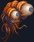 Gros Yeux