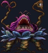 Neochu