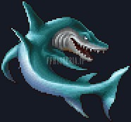 Requin
