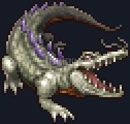Crocodile Blanc