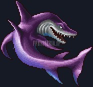 Requin Blanc
