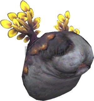Bloodpool Vorax