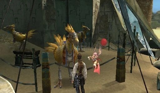 Les chocobos de location