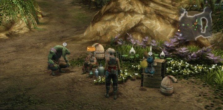 FF XII — 18 — Le Col du Mosphore et la Forêt de Salika