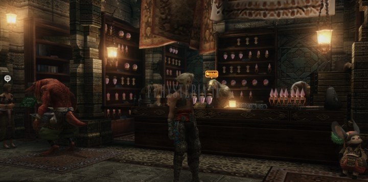 FF XII — 3 — Le palais royal : infiltration et la magicite