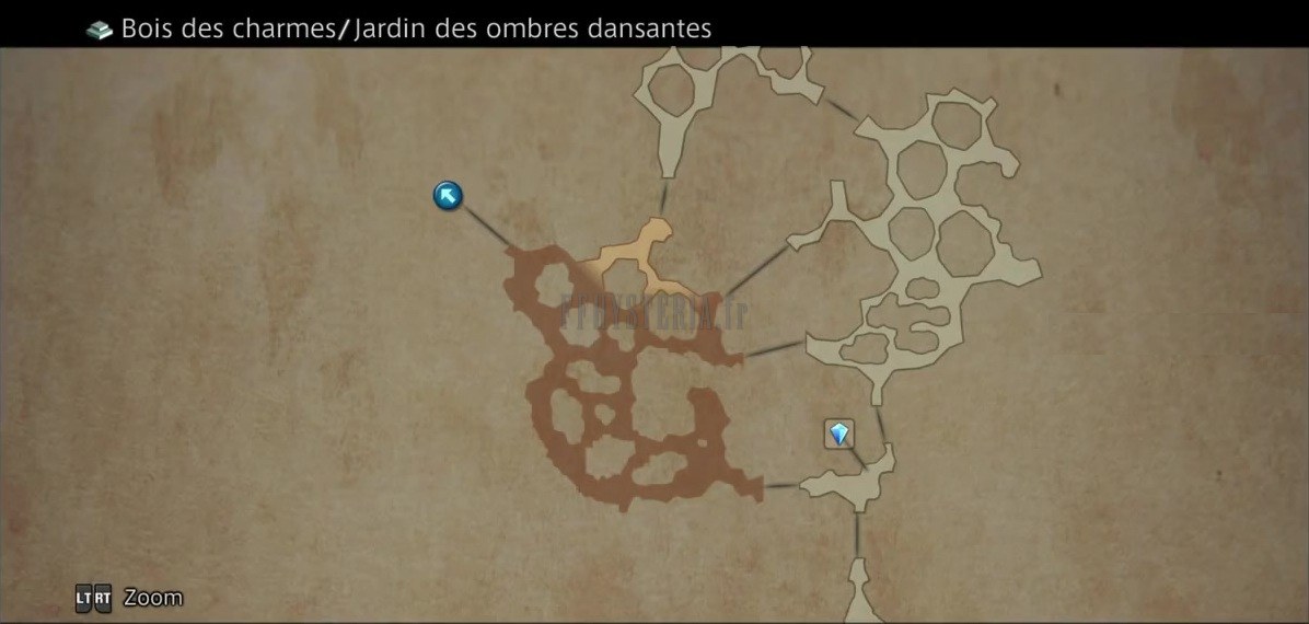 Carte de la zone — Bois des Charmes (Feywood)