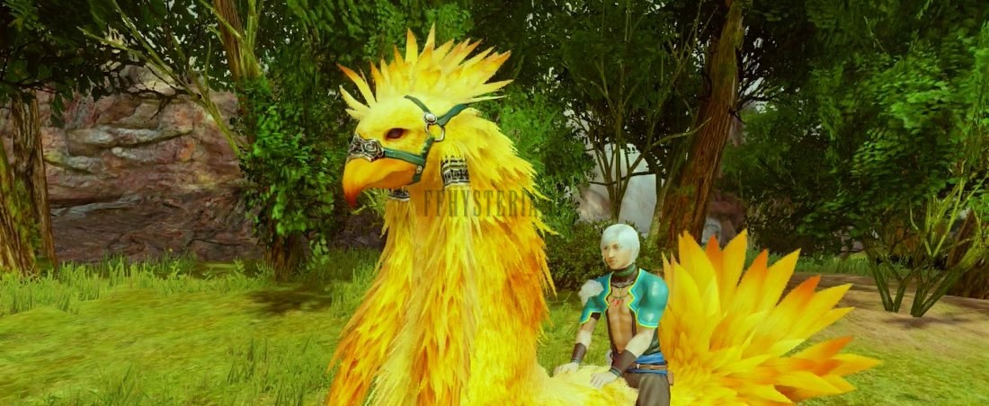 Un apprenti chasseur de Jagd sur son chocobo harnaché : dans les Terres sauvages, la monture fait partie de l'équipement du métier.