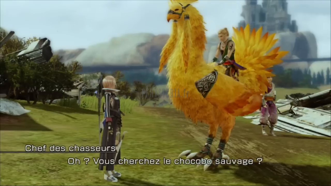 Le chef des chasseurs de Jagd, sur son chocobo jaune : c'est lui qui parle à Lightning du chocobo sauvage.
