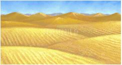 FF II — Ffii background desert
