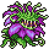 Floraison du Diable