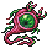 Parasite