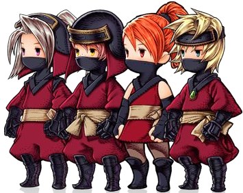 Ninja