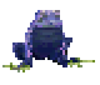 Crapaud Géant