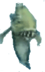Poisson tueur