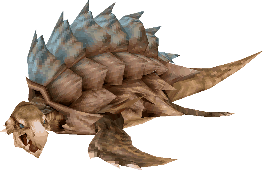 Tortue Terrestre
