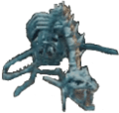 Dragon Zombi