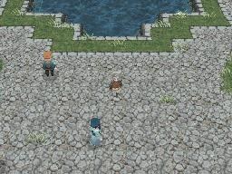 FF III — Northeastern saronia