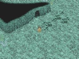 FF III — Sunken cave wm
