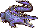 Alligator