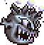 Bombo noir