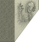 FF IV — Créature — Evilwall