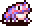 Tiny Toad