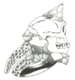 FF IV — Objet cursed ring art