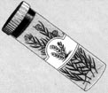 FF IV — Objet echograss