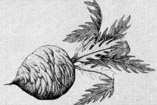 FF IV — Objet gysahlgreens