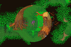 La forêt de la Fissure : un arbre géant au tronc fendu au milieu des sapins (version GBA)