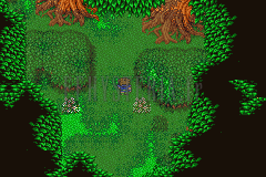 Un sous-bois de la Grande forêt de Mua, arbres aux feuillages roux, Bartz sur le sentier (version GBA)