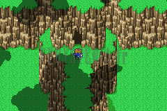 L’entrée du Mont du Nord : un sentier encaissé entre des falaises boisées (version GBA)