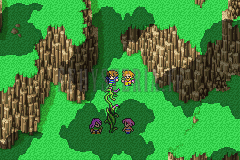 Au sommet du val, le groupe devant la grande tige de l’Herbe aux dragons, deux fleurs violettes à ses pieds (version GBA)