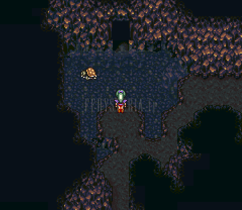 Terra à la source de la Grotte de Figaro-Sud, une tortue à ses côtés (version SNES)