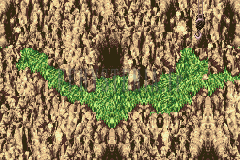 La bande d’herbe au pied des falaises où l’on se pose, avec l’entrée sombre du temple (version GBA)