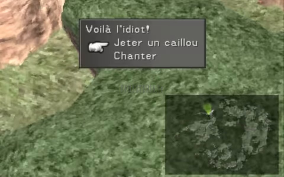 Ryo l'idiot et la pierre de Dollet